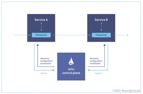 Istio學習筆記 服務(wù)網(wǎng)格在信息系統(tǒng)運行維護服務(wù)中的應(yīng)用與實踐
